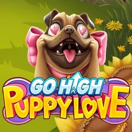 Go High Puppy Love online game logo by RubyPlay on dazard-bets.org